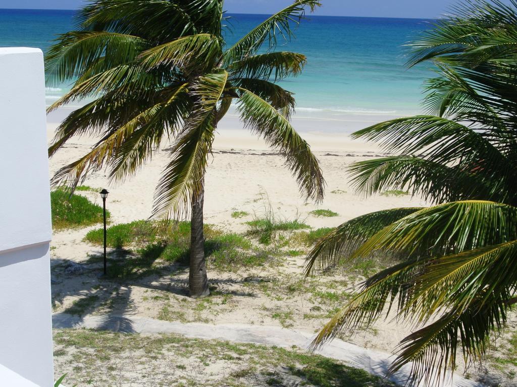 Tyne Beach Terrace Apartments Freeport Rum bild